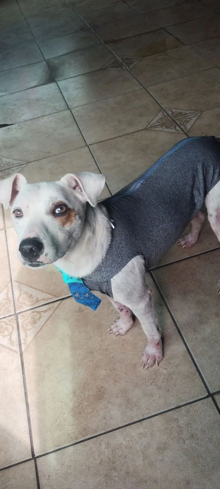 Thor antes do resgate